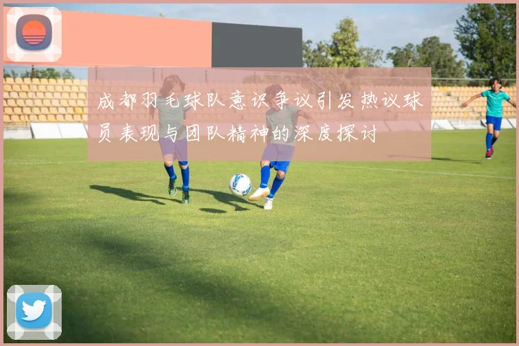 成都羽毛球队意识争议引发热议球员表现与团队精神的深度探讨